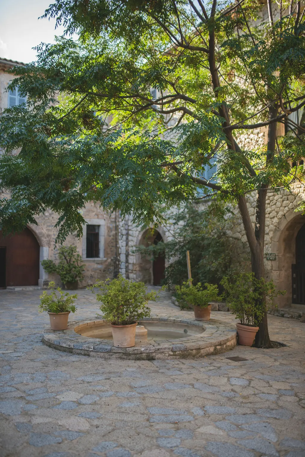 Patio empedrado con macetas a la sombra de los árboles